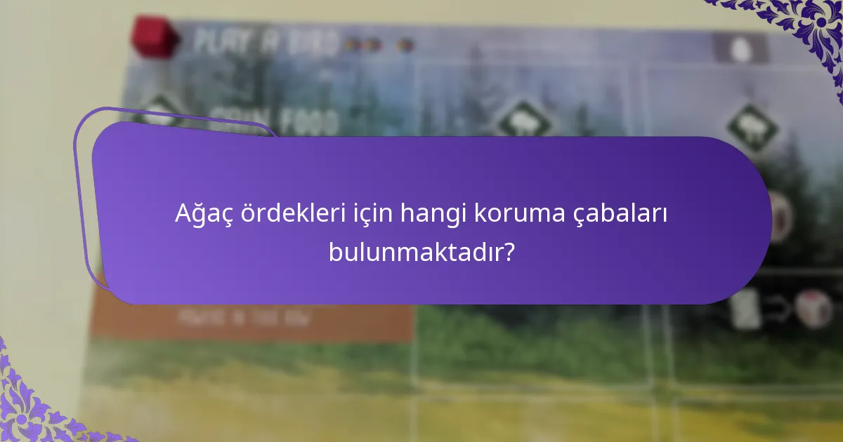 Ağaç ördekleri diğer ördek türleriyle nasıl karşılaştırılır?