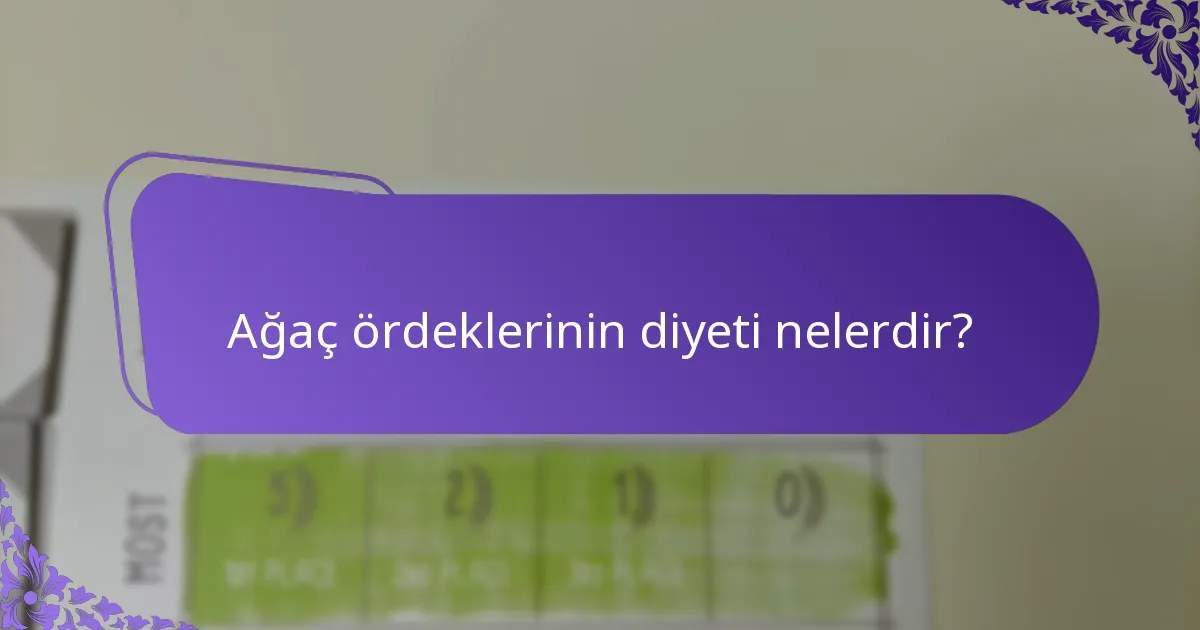 Ağaç ördekleri için hangi koruma çabaları bulunmaktadır?