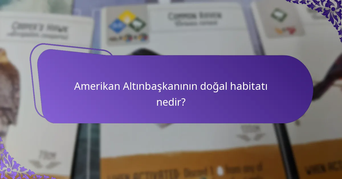 Amerikan Altınbaşkanının şarkısı nasıl bir ses çıkarır?