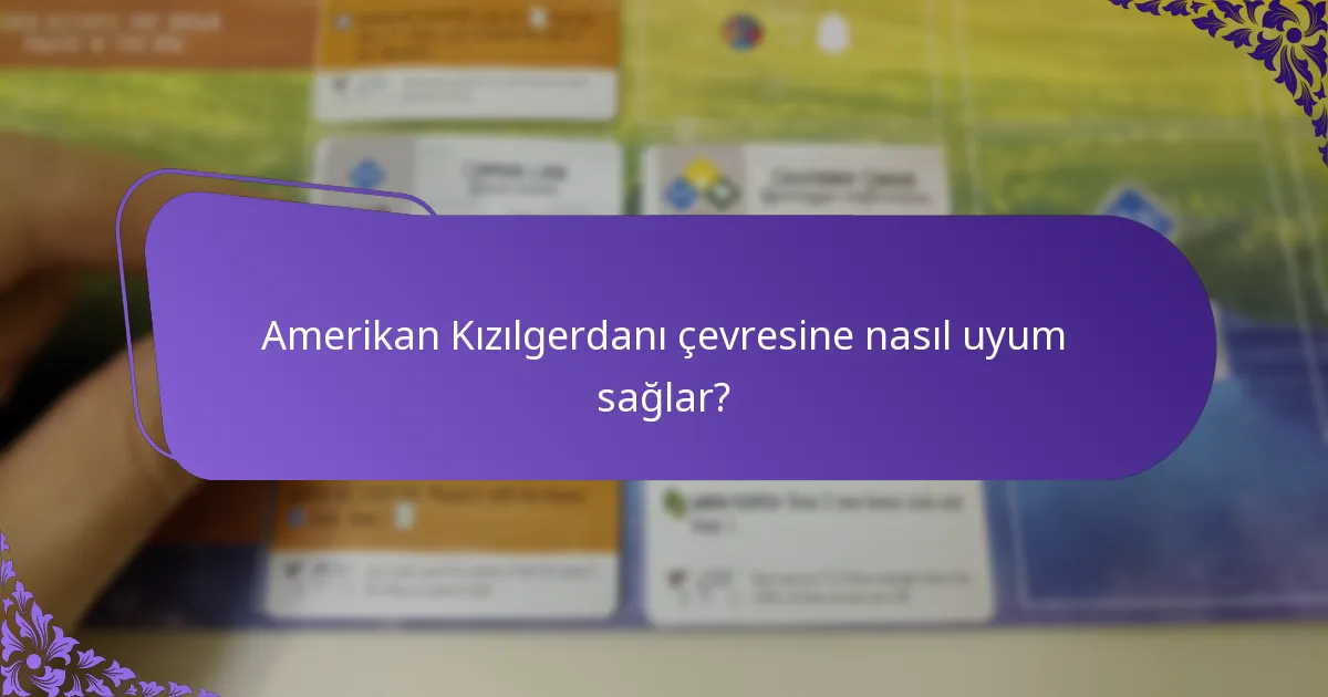 Amerikan Kızılgerdanı ne yer?