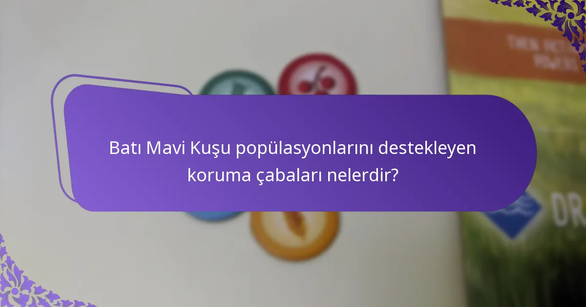 Batı Mavi Kuşu popülasyonlarını destekleyen koruma çabaları nelerdir?