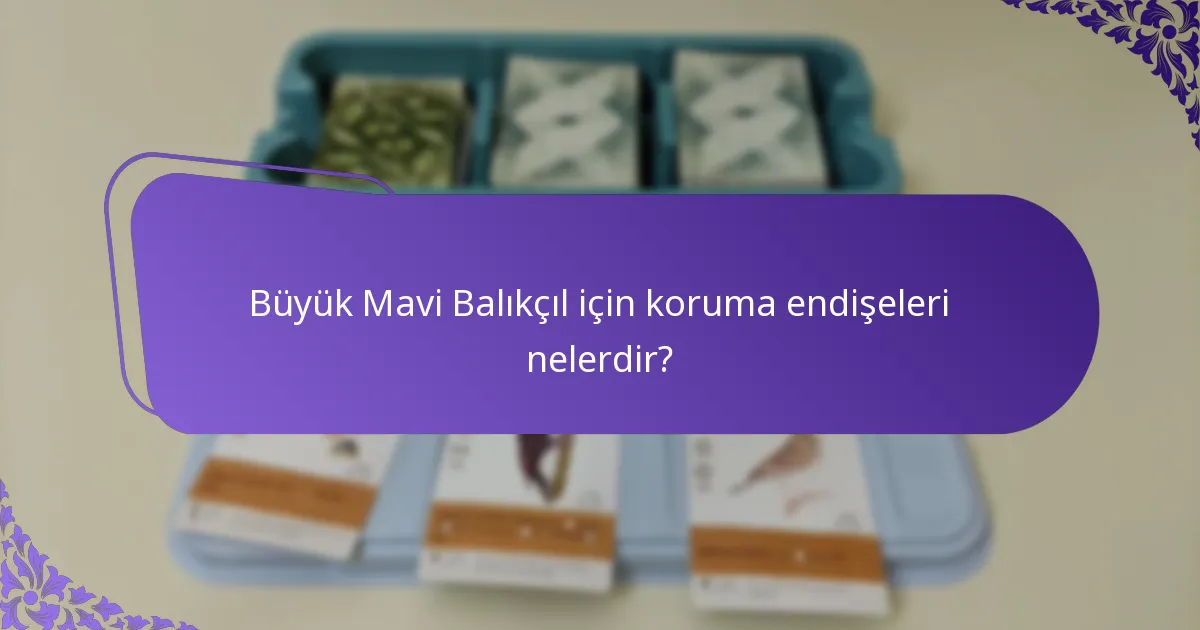 Büyük Mavi Balıkçıl nasıl yuva yapar?