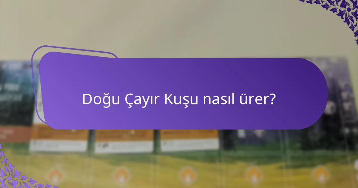 Doğu Çayır Kuşu nasıl ürer?