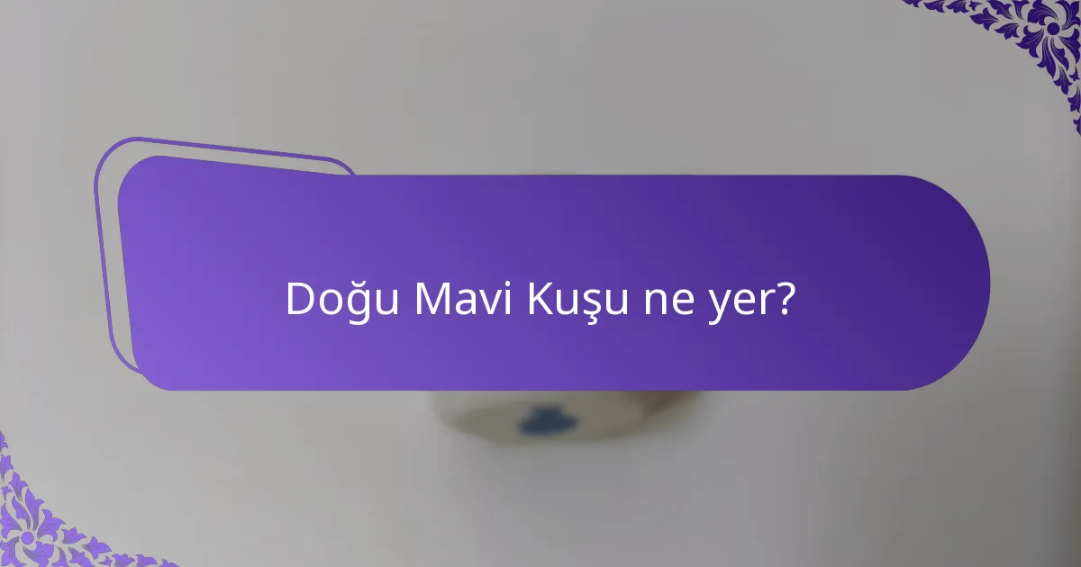 Doğu Mavi Kuşu ne yer?