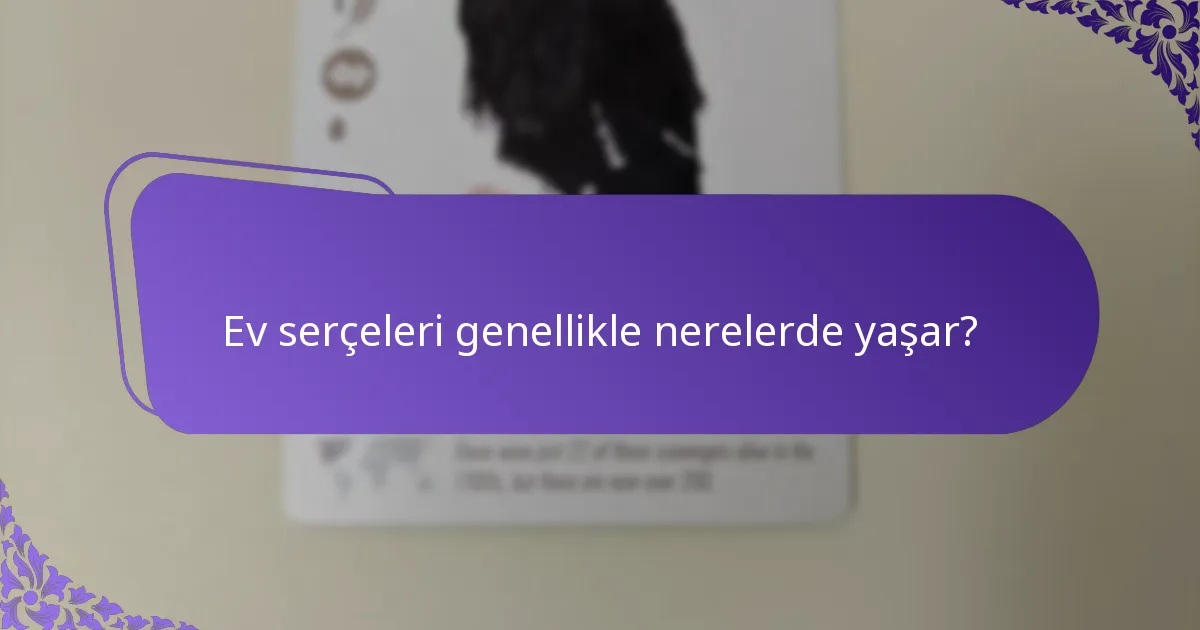 Ev serçeleri genellikle nerelerde yaşar?