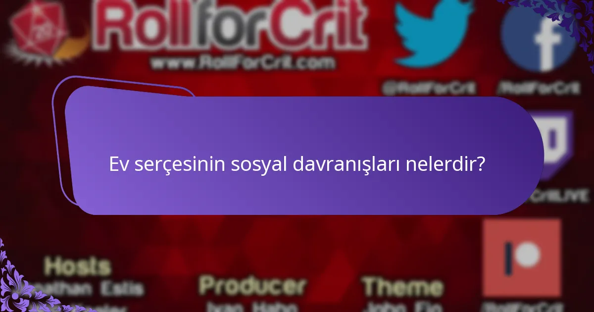 Ev serçelerinin yaşam alanlarında karşılaştığı tehditler nelerdir?