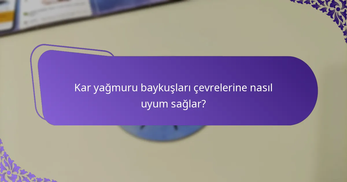 Kar yağmuru baykuşları nerede yaşar?