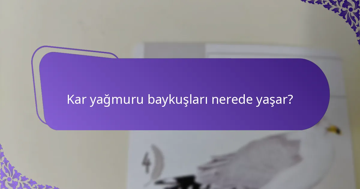 Kar yağmuru baykuşları çevrelerine nasıl uyum sağlar?