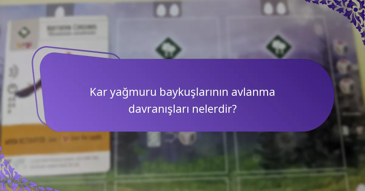 Kar yağmuru baykuşlarının koruma durumu nedir?