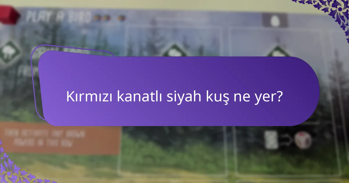 Kırmızı kanatlı siyah kuşun habitatı nedir?