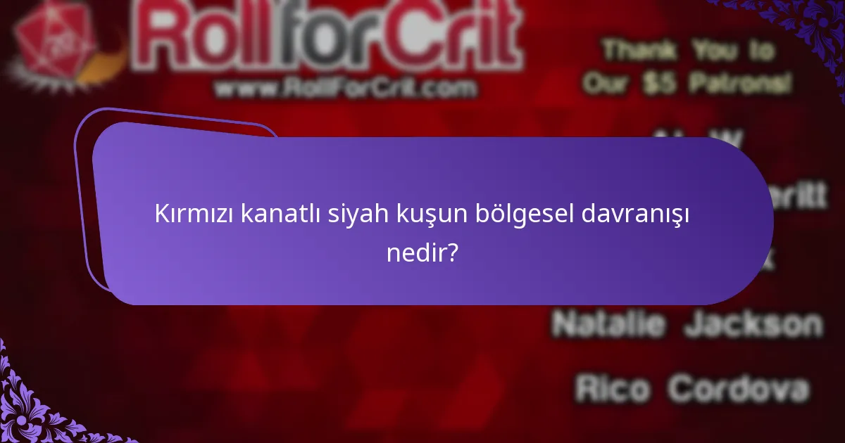 Kırmızı kanatlı siyah kuş ne yer?