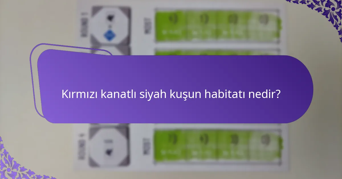 Kuş gözlemcileri kırmızı kanatlı siyah kuşları doğada nasıl tanıyabilir?