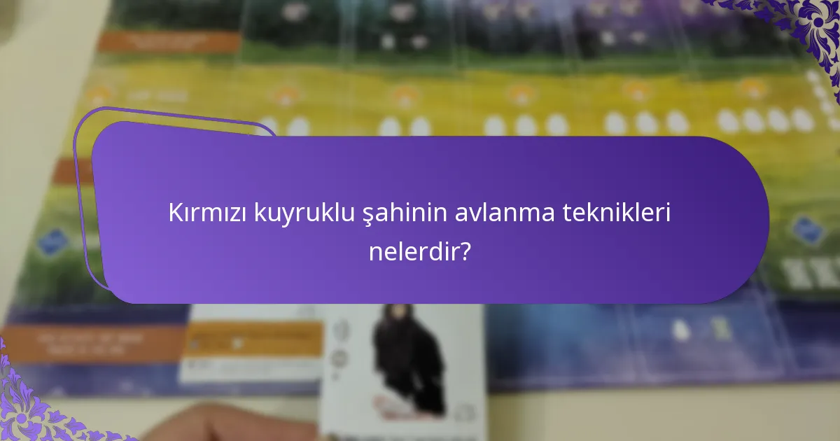 Kırmızı kuyruklu şahinler nerede yaşar?