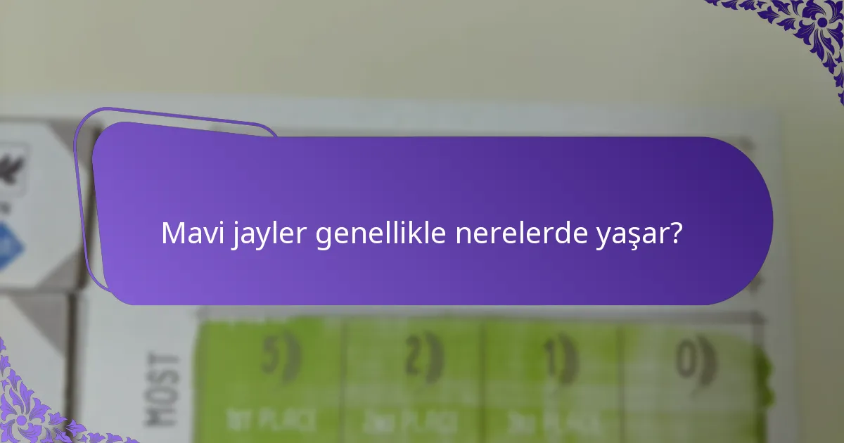 Mavi jaylerin beslenme şekli nedir?