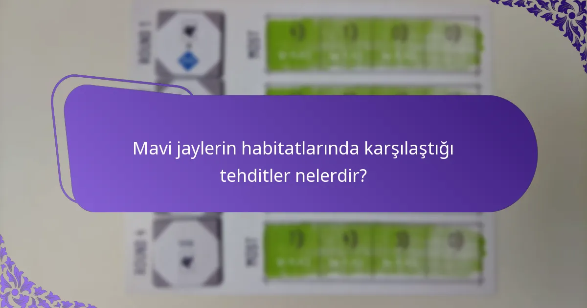 Mavi jaylerin habitatlarında karşılaştığı tehditler nelerdir?