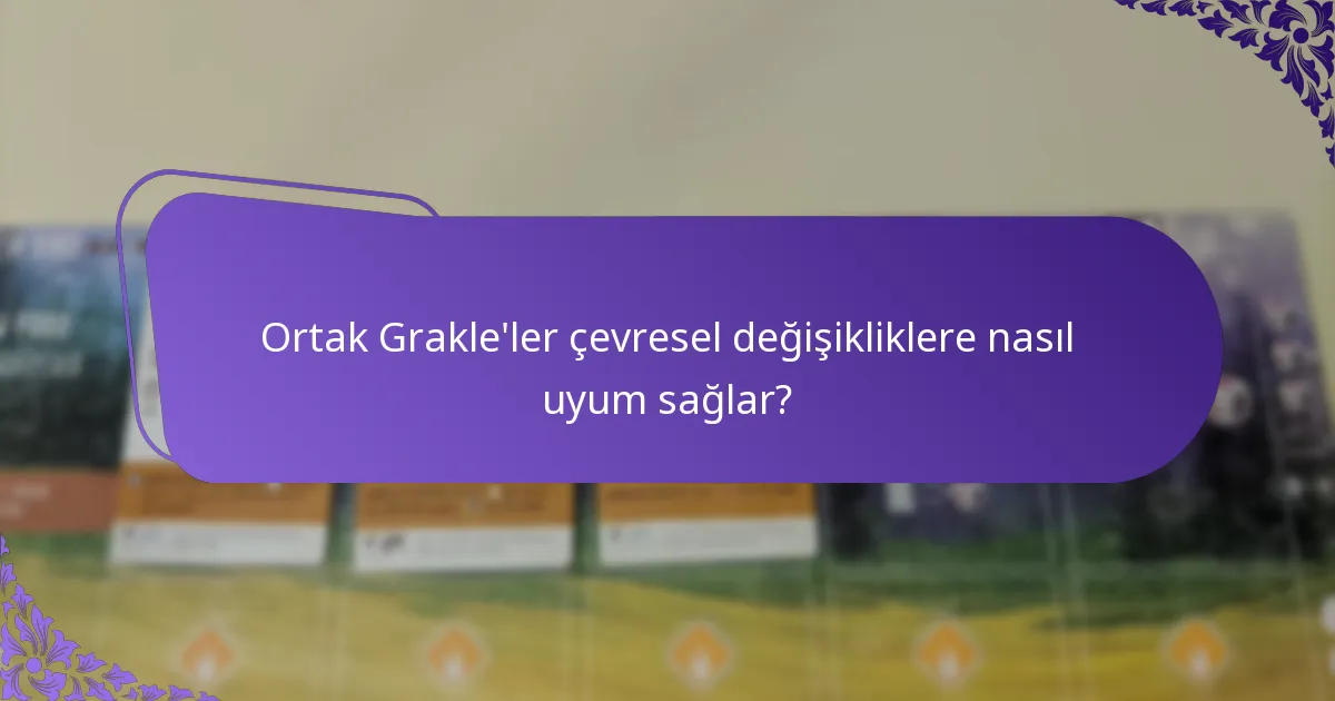 Ortak Grakle'ler hangi habitatları tercih eder?