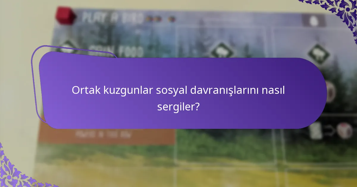 Ortak kuzgunların korunma durumu ve tehditleri nelerdir?