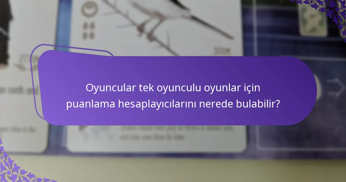 Tek oyunculu oyunlar için puanlama sistemlerinde hangi varyasyonlar vardır?