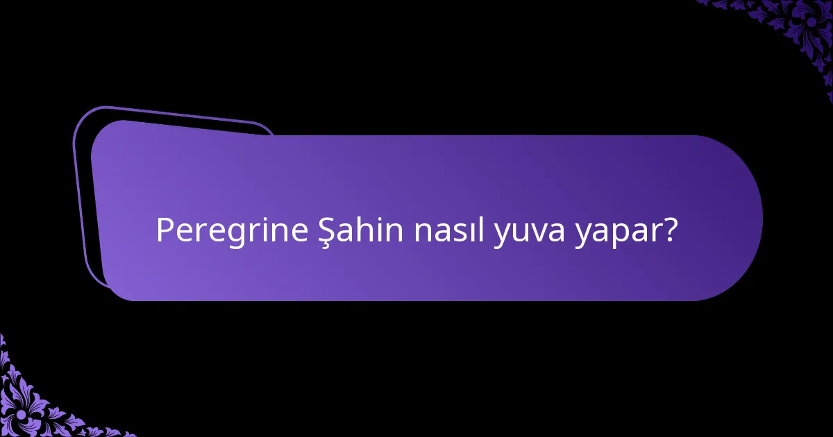 Peregrine Şahin nerede yaşar?