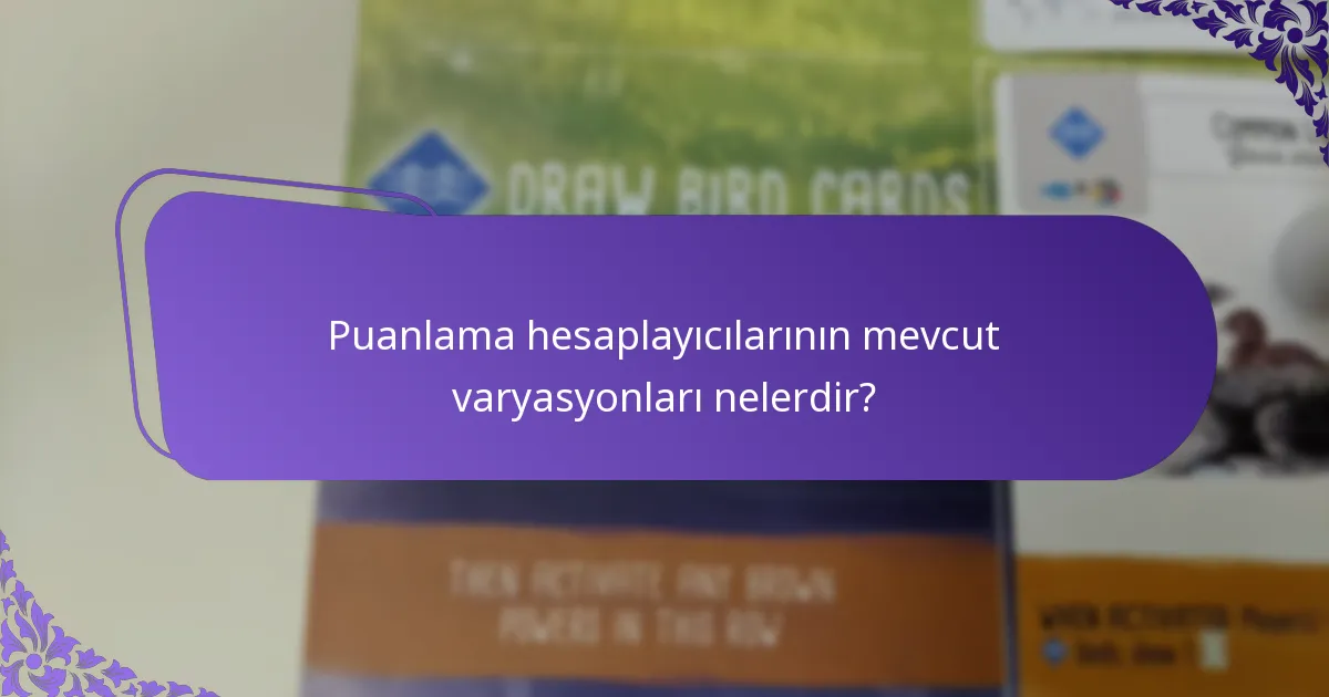 Puanlama hesaplayıcılarının mevcut varyasyonları nelerdir?