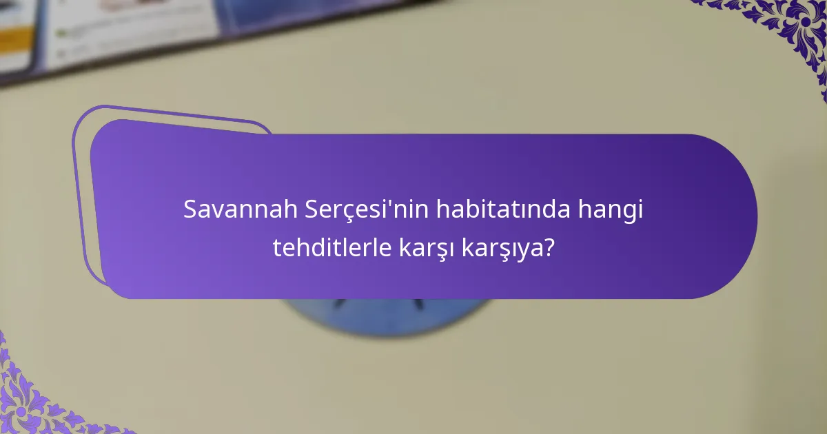 Savannah Serçesi'nin şarkısı nasıl bir ses çıkarır?